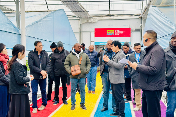 稳定的供货渠道