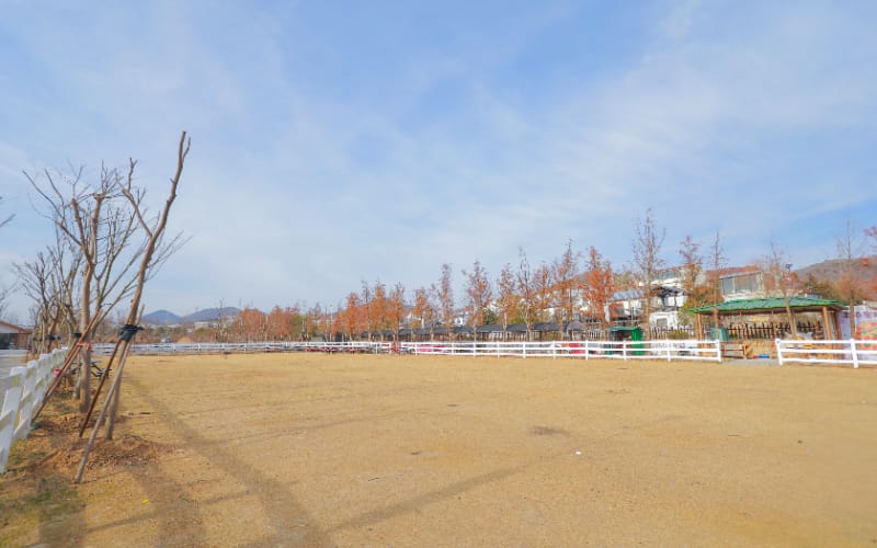 南京丰硕草坪 | 户外婚礼、活动策划与自然体验的理想之地