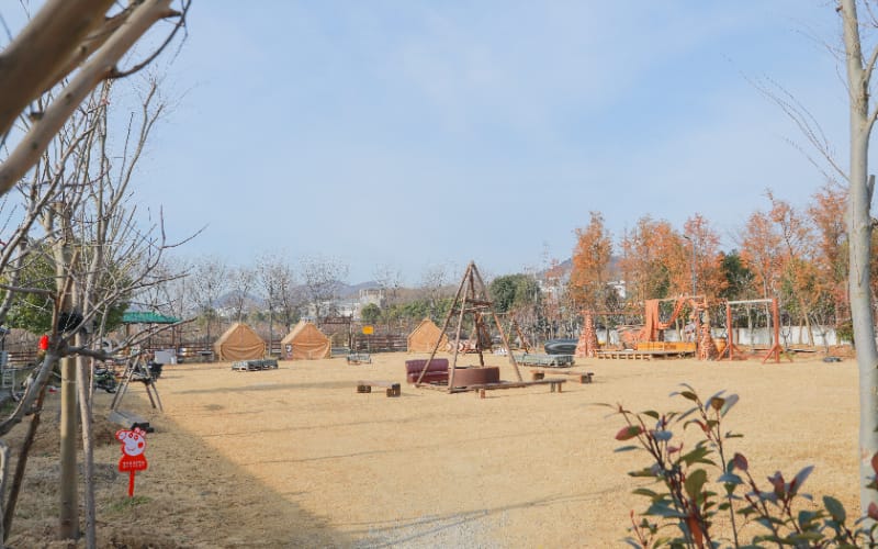 南京丰硕草坪 | 专业户外草坪场地，打造婚礼、活动与团建的完美体验