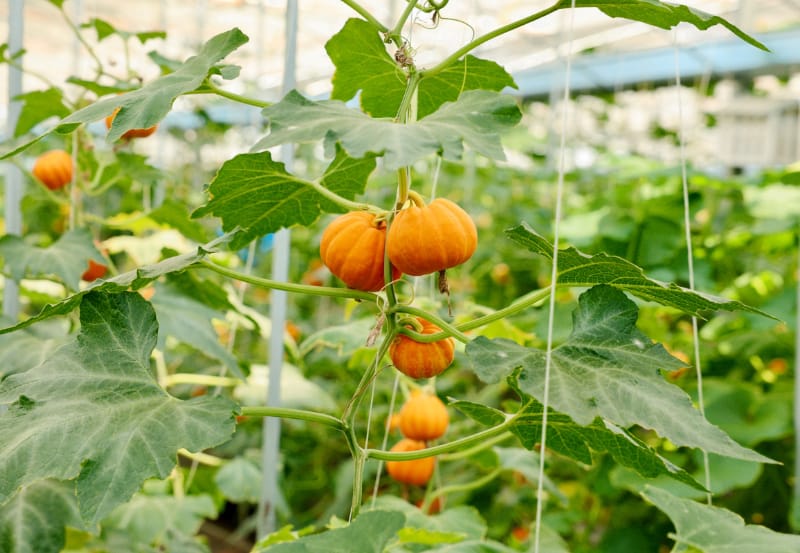 1cd48aa5c334a28e62d56f71a4daa97 (1).jpg