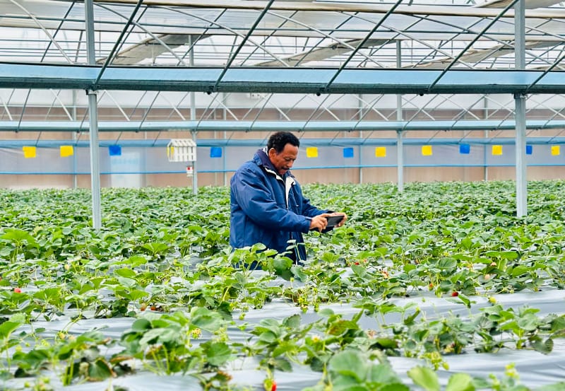 1cd48aa5c334a28e62d56f71a4daa97 (3).jpg