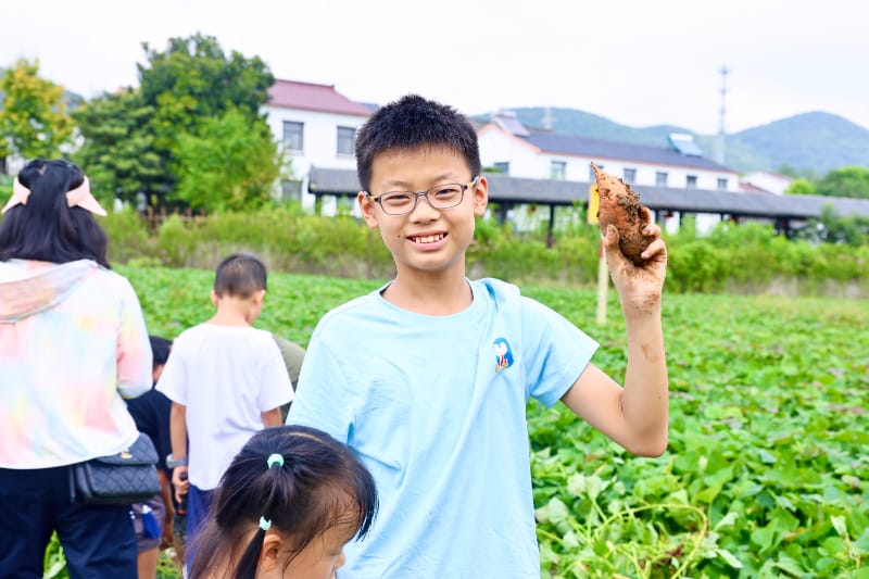 南京丰硕农场挖红薯烤红薯研学活动