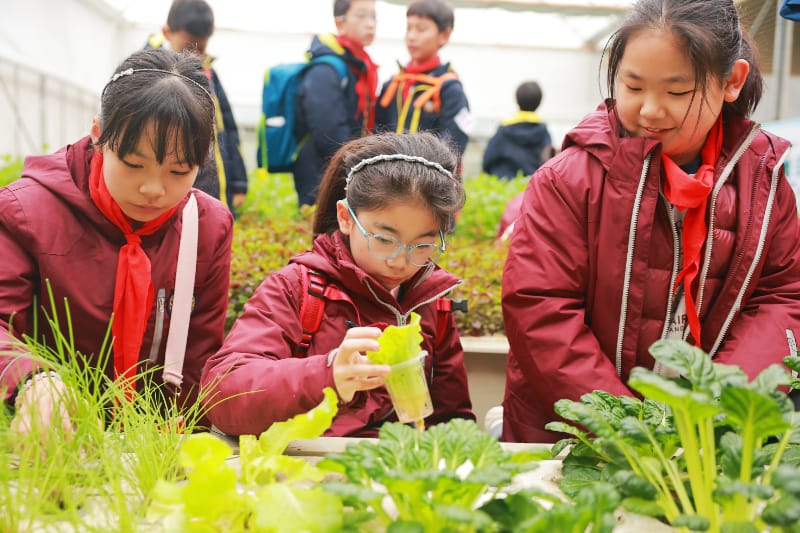 南京丰硕农场无土栽培研学活动