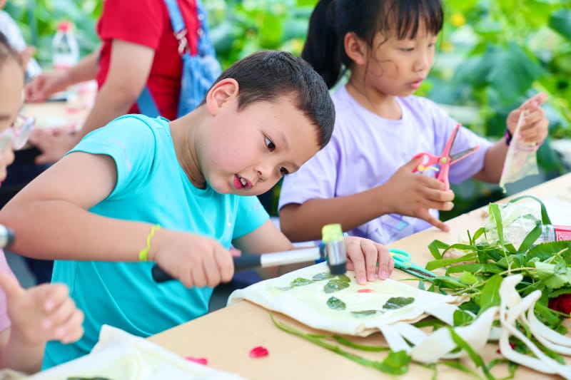 南京丰硕农场印染传承与文创布袋研学活动