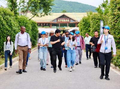 南京丰硕农场助力农业现代化，推动绿色可持续发展