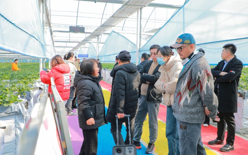 丰硕基地推介会